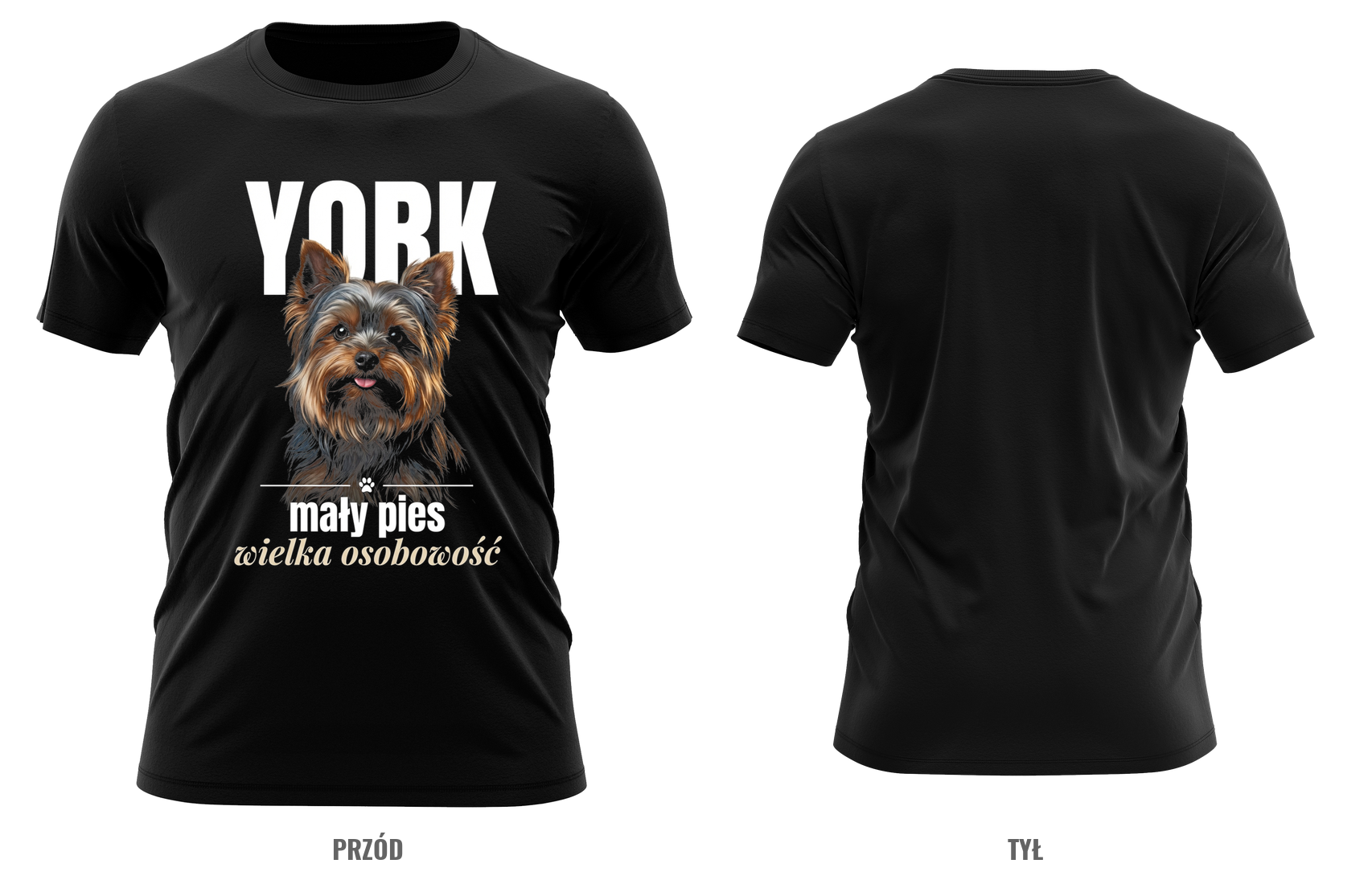 York — mały pies, wielka osobowość