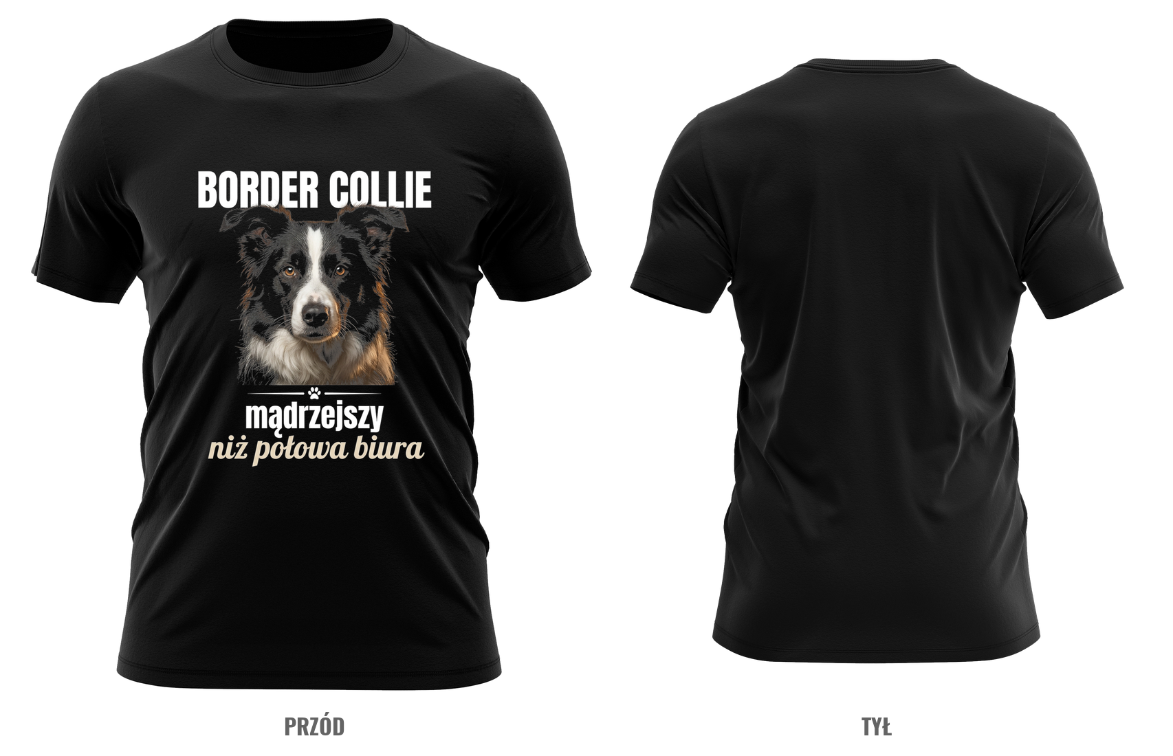 Border collie — mądrzejszy niż połowa biura